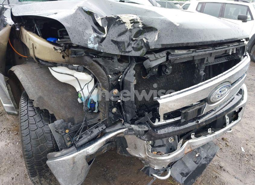 Photo 18 of 2019 Ford F-150 XLT (VIN 1FTEX1EP4KFB13902)