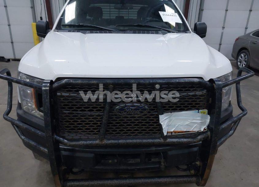 Photo 12 of 2019 Ford F-150 XL (VIN 1FTEX1EP4KKC42195)