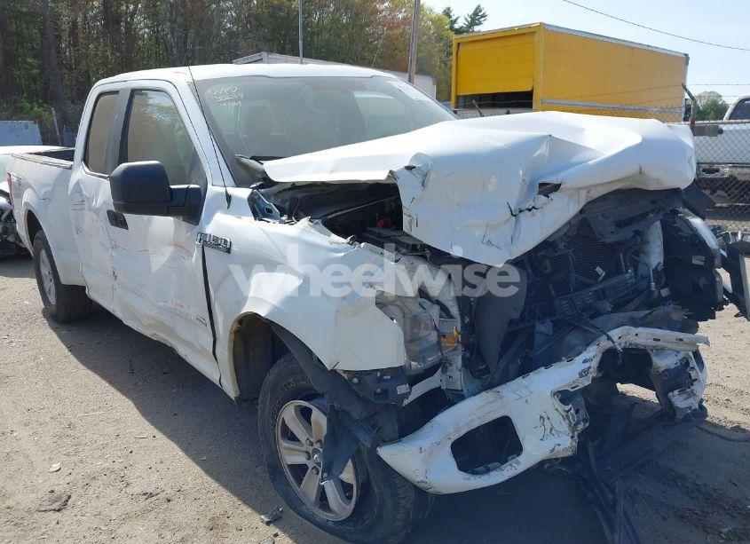 2017 Ford F-150 XL (VIN 1FTEX1EP5HFB38204) main photo