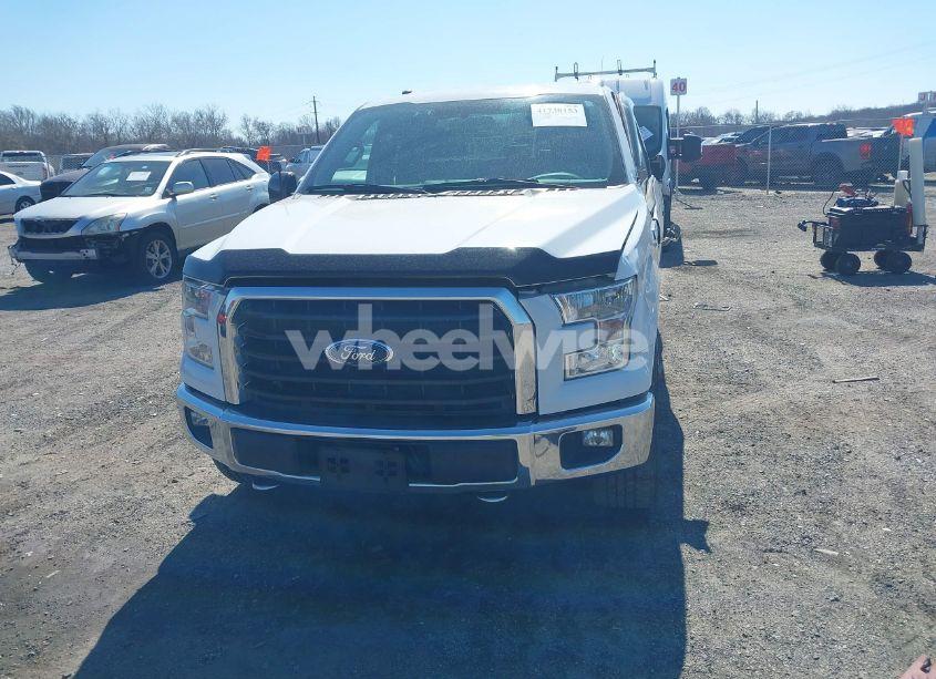 Photo 12 of 2015 Ford F-150 XLT (VIN 1FTEX1EP6FFA92864)
