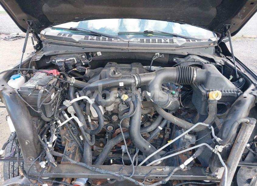 Photo 10 of 2017 Ford F-150 XLT (VIN 1FTEX1EP6HFC55239)