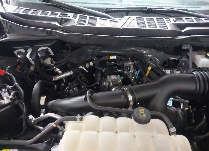 Photo 10 of 2023 Ford F-150 XL (VIN 1FTEX1EP6PKD75516)