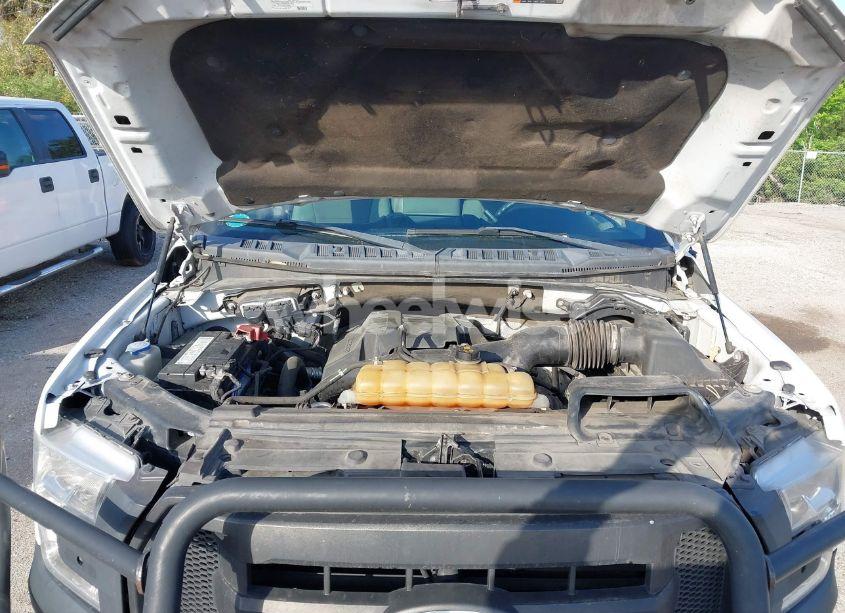 Photo 10 of 2017 Ford F-150 XL (VIN 1FTEX1EP7HFC92297)