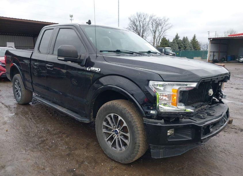 2019 Ford F-150 XLT (VIN 1FTEX1EP8KKC01407) main photo