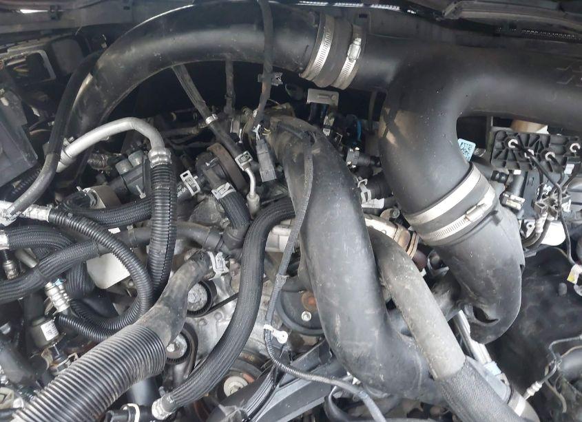 Photo 10 of 2021 Ford F-150 XLT (VIN 1FTEX1EPXMKD19414)