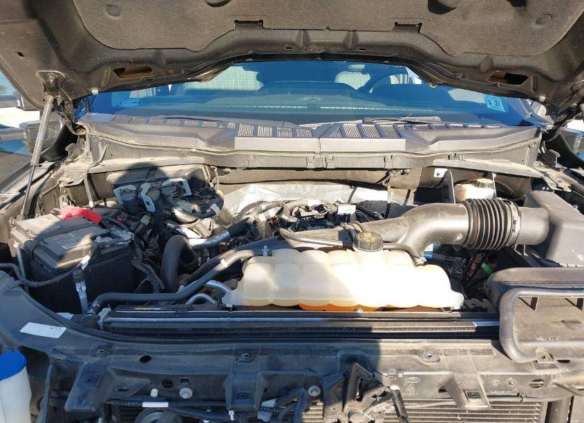 Photo 10 of 2021 Ford F-150 XLT (VIN 1FTEX1EPXMKE79051)