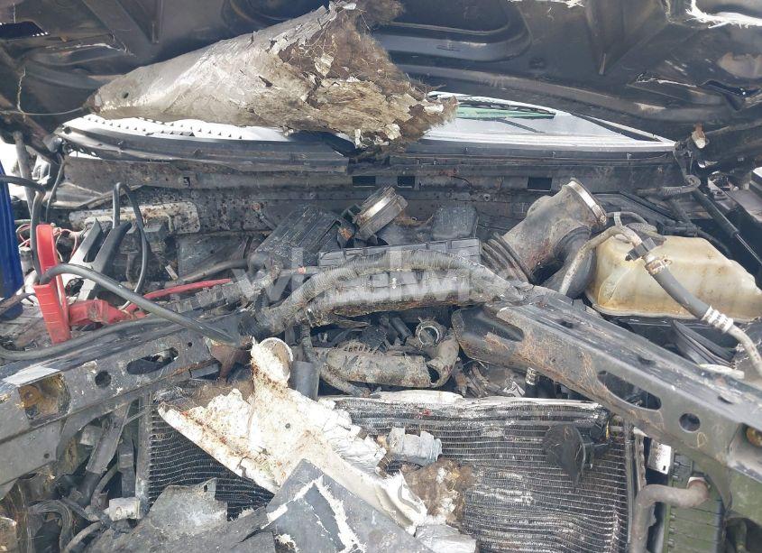 Photo 10 of 2010 Ford F-150 SVT RAPTOR (VIN 1FTEX1EV3AFA15490)