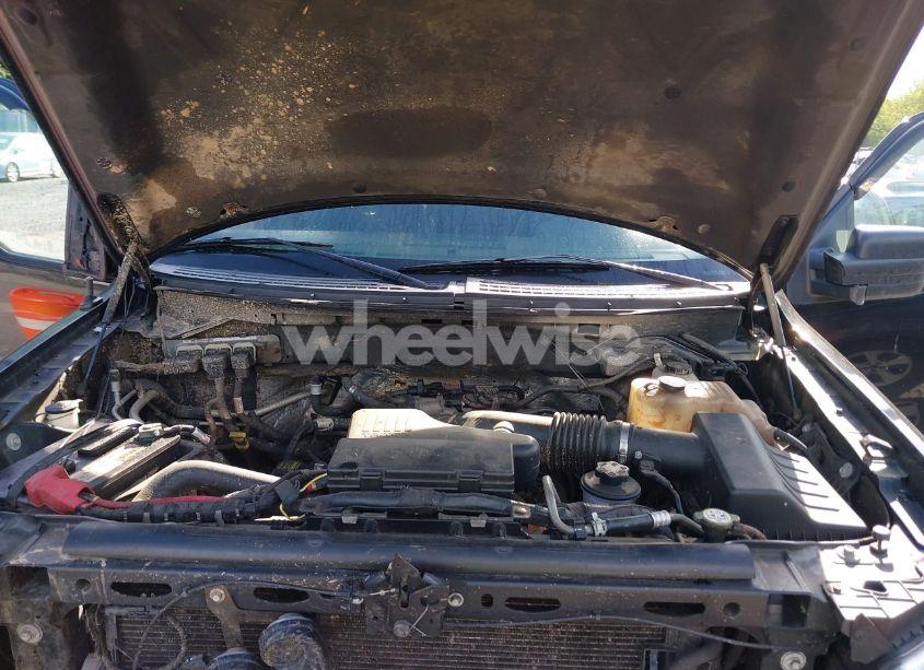 Photo 10 of 2010 Ford F-150 STX/XL (VIN 1FTEX1EW2AFA18163)