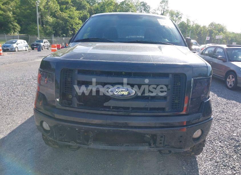 Photo 12 of 2010 Ford F-150 STX/XL (VIN 1FTEX1EW2AFA18163)