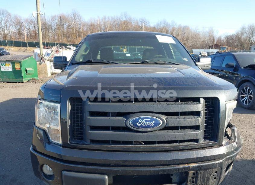 Photo 12 of 2010 Ford F-150 STX/XL (VIN 1FTEX1EW2AFD38194)