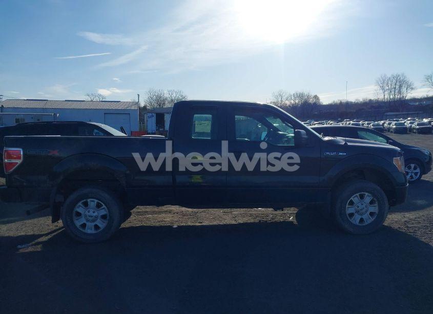 Photo 13 of 2010 Ford F-150 STX/XL (VIN 1FTEX1EW2AFD38194)