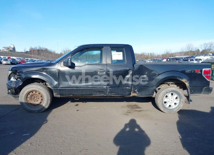 Photo 14 of 2010 Ford F-150 STX/XL (VIN 1FTEX1EW2AFD38194)