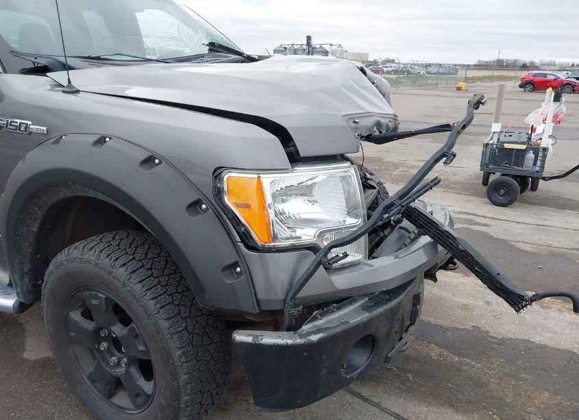 Photo 18 of 2010 Ford F-150 STX/XL (VIN 1FTEX1EW3AFA95317)