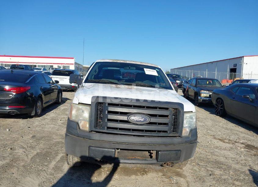 Photo 12 of 2010 Ford F-150 STX/XL (VIN 1FTEX1EW3AFB42359)