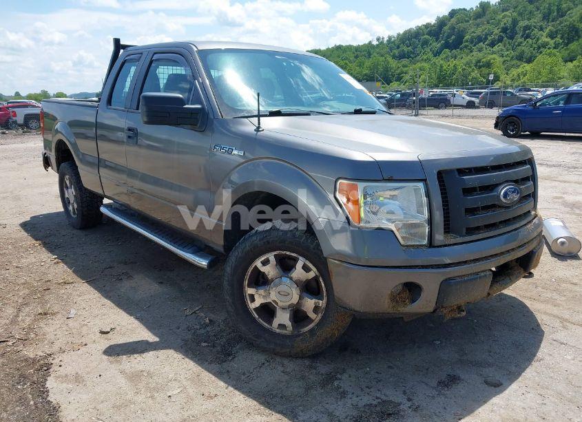 2010 Ford F-150 STX/XL (VIN 1FTEX1EW3AFC76479) main photo