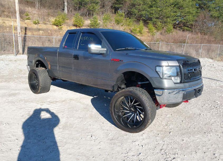 2010 Ford F-150 XL (VIN 1FTEX1EW4AFA66795) main photo