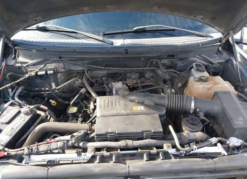 Photo 10 of 2010 Ford F-150 XL (VIN 1FTEX1EW4AFA66795)