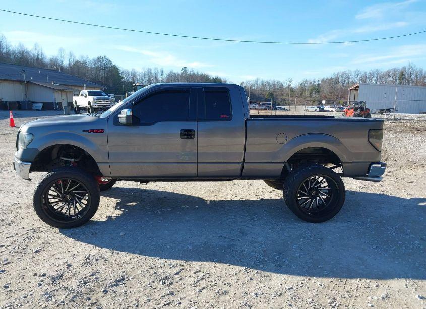 Photo 13 of 2010 Ford F-150 XL (VIN 1FTEX1EW4AFA66795)