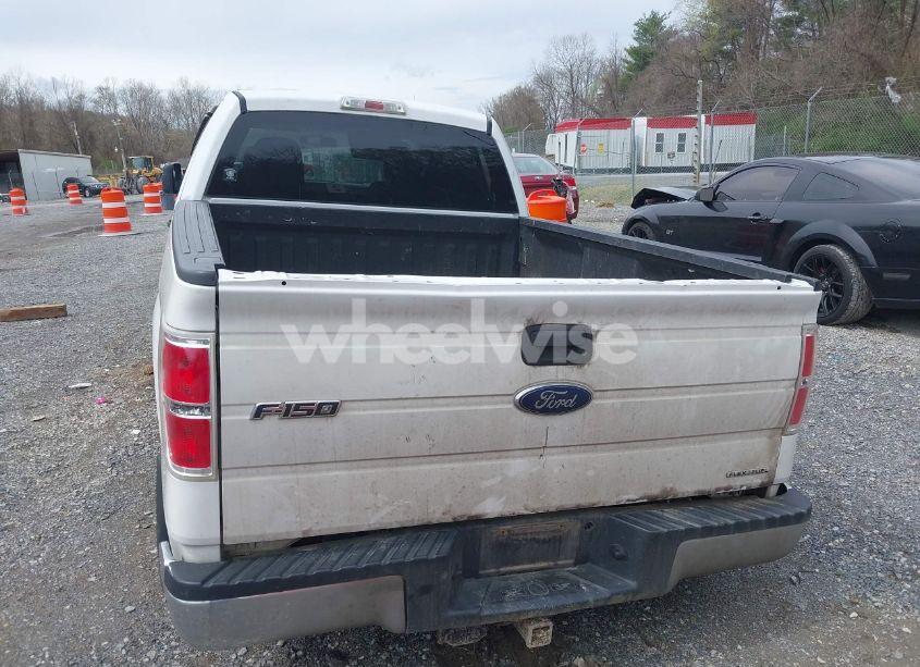 Photo 16 of 2010 Ford F-150 STX/XL (VIN 1FTEX1EW4AFC28425)