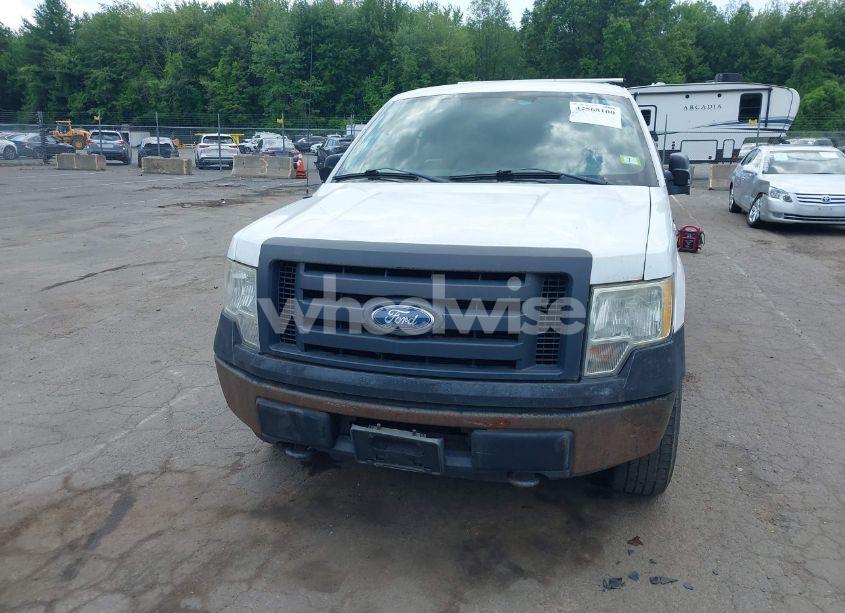 Photo 12 of 2010 Ford F-150 STX/XL (VIN 1FTEX1EW5AFD30929)