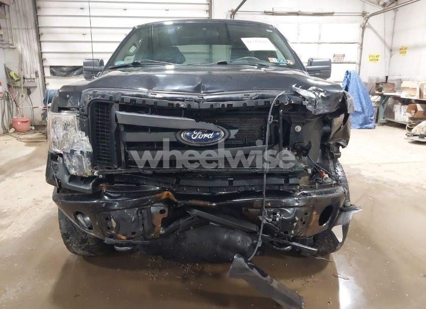 Photo 12 of 2010 Ford F-150 STX (VIN 1FTEX1EW5AFD85462)