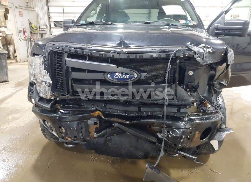 Photo 6 of 2010 Ford F-150 STX (VIN 1FTEX1EW5AFD85462)