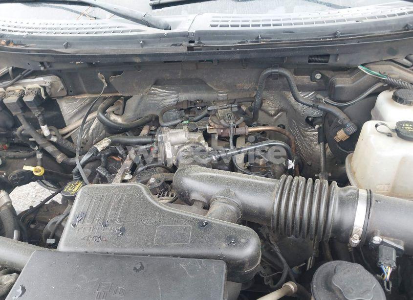 Photo 10 of 2010 Ford F-150 STX/XL (VIN 1FTEX1EW7AFA75331)