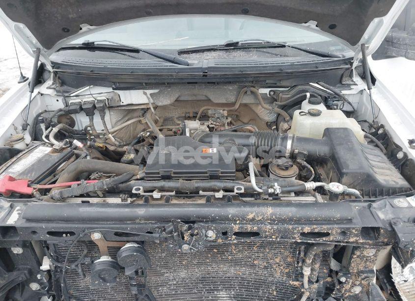 Photo 10 of 2010 Ford F-150 XL (VIN 1FTEX1EW7AKE10692)