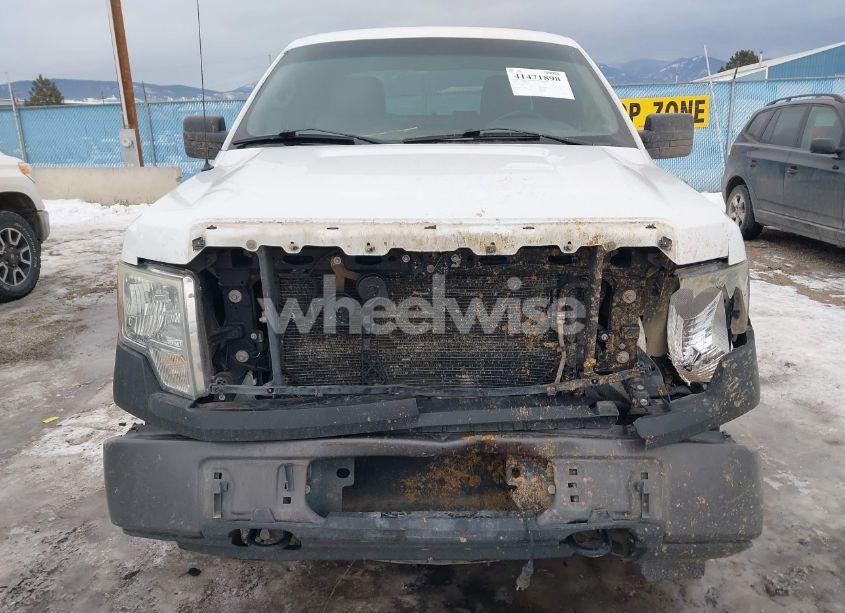 Photo 12 of 2010 Ford F-150 XL (VIN 1FTEX1EW7AKE10692)