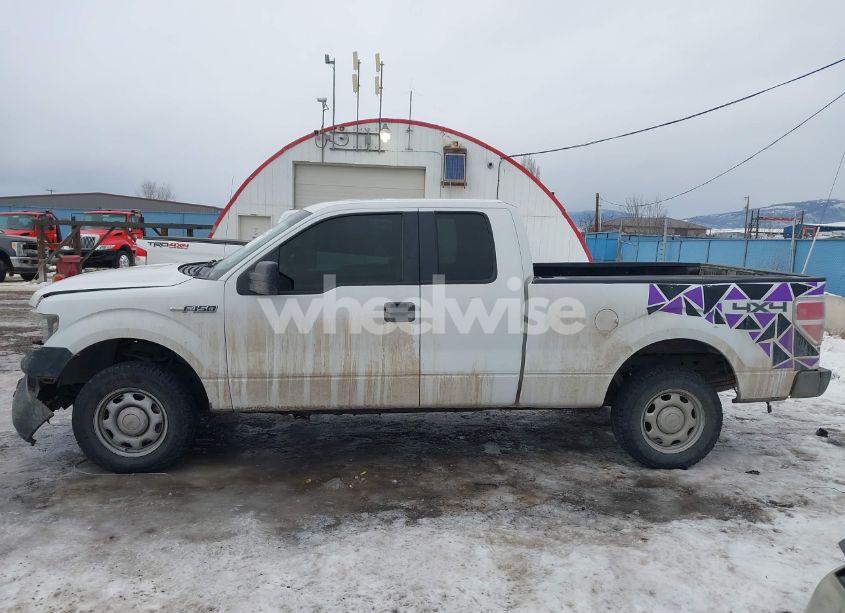 Photo 14 of 2010 Ford F-150 XL (VIN 1FTEX1EW7AKE10692)