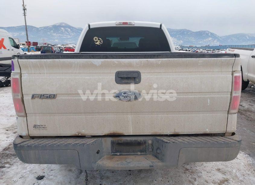 Photo 16 of 2010 Ford F-150 XL (VIN 1FTEX1EW7AKE10692)