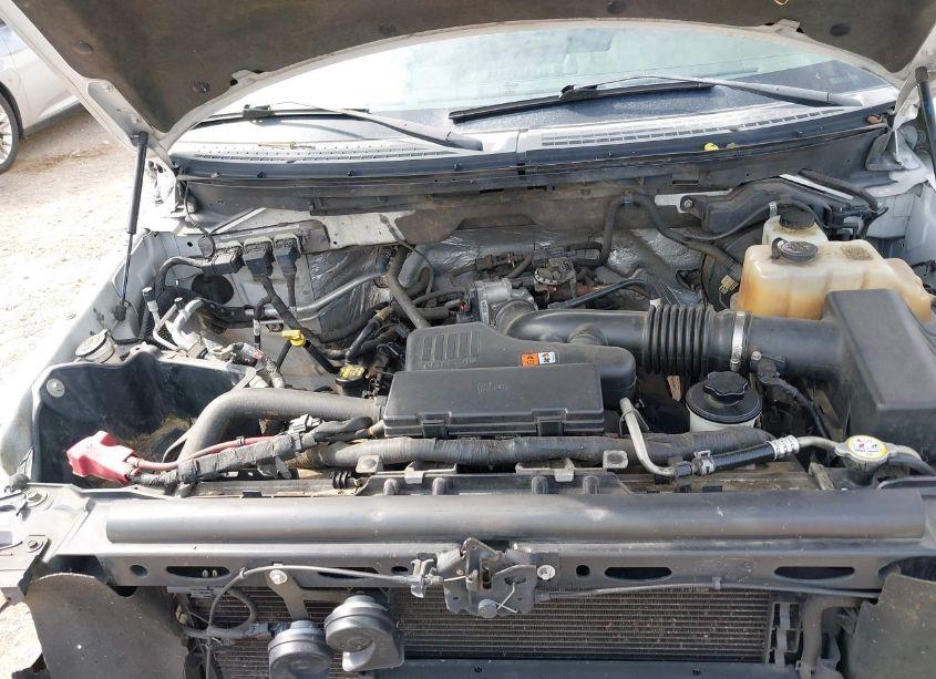 Photo 10 of 2010 Ford F-150 STX/XL (VIN 1FTEX1EWXAFD72495)