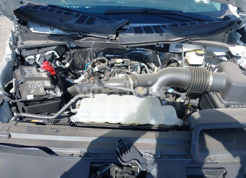 Photo 10 of 2024 Ford F-150 XL (VIN 1FTEX1KP2RKE95577)