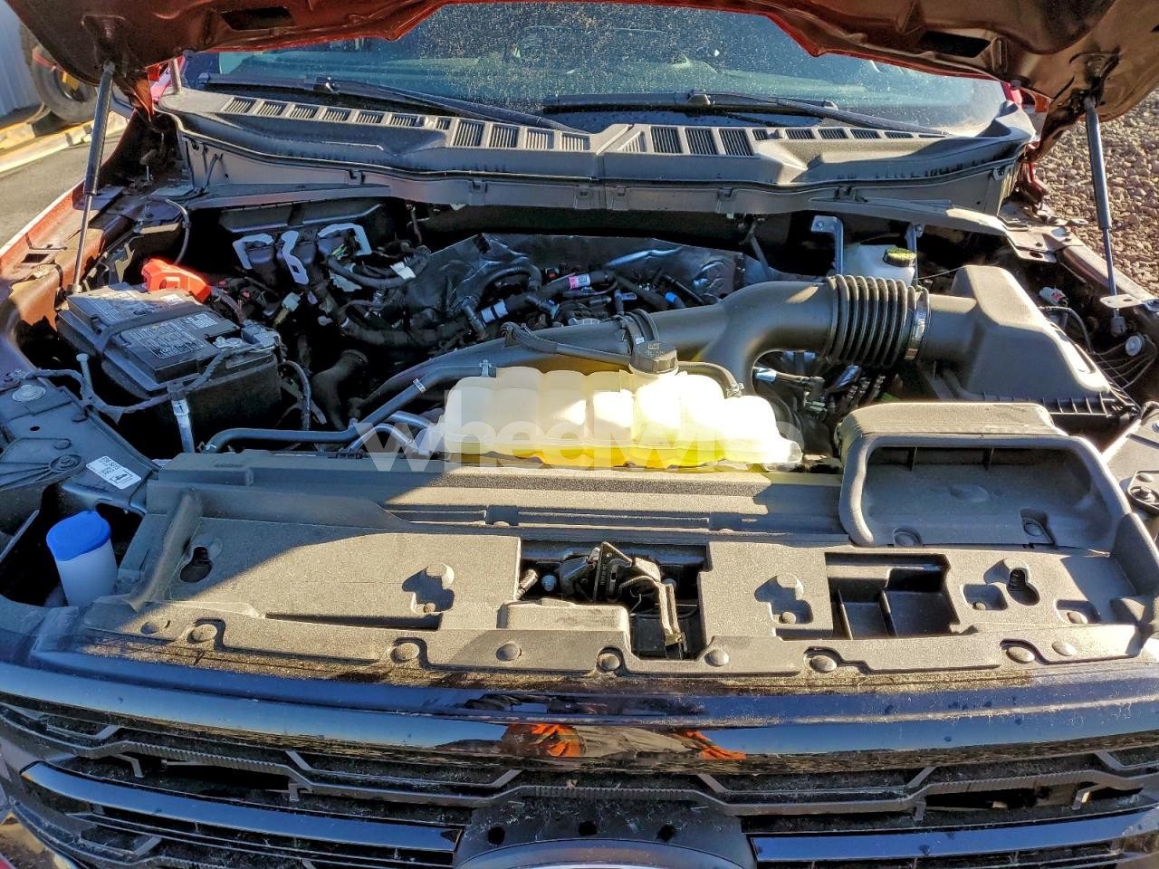 Photo 11 of 2025 FORD F150 XLT (VIN 1FTEX3LP4SKF12895)