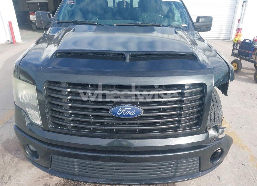 Photo 12 of 2011 Ford F-150 HARLEY-DAVIDSON (VIN 1FTFW1C66BFA24754)