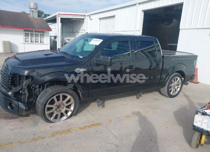 Photo 14 of 2011 Ford F-150 HARLEY-DAVIDSON (VIN 1FTFW1C66BFA24754)