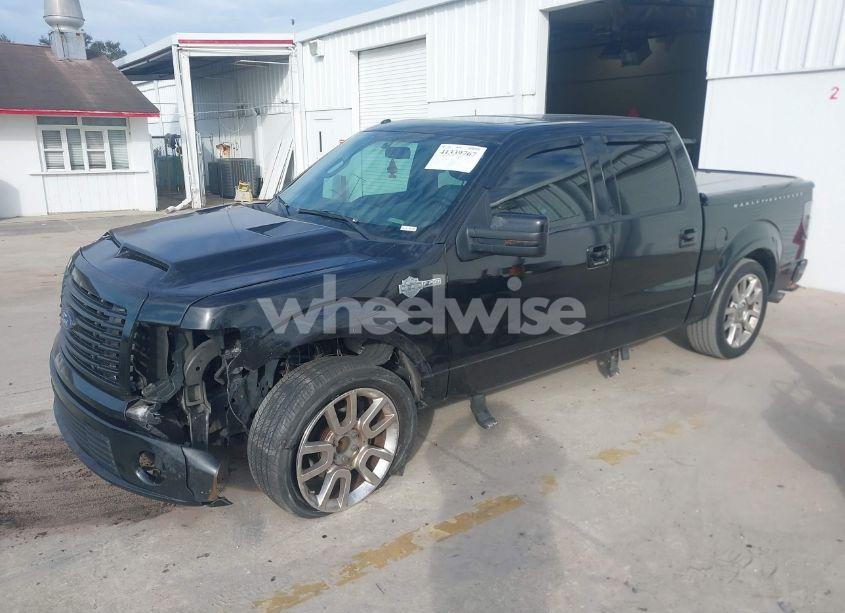 Photo 2 of 2011 Ford F-150 HARLEY-DAVIDSON (VIN 1FTFW1C66BFA24754)