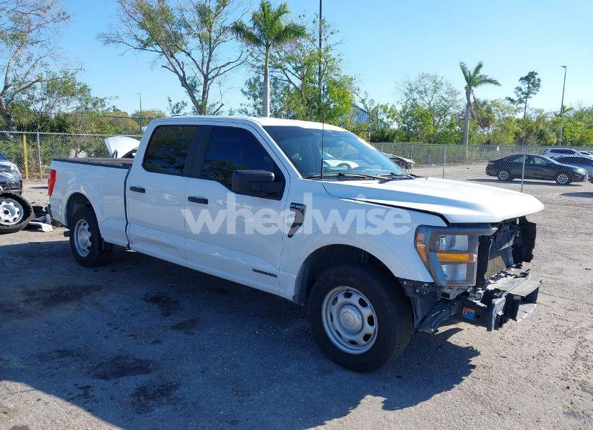 2023 Ford F-150 XL (VIN 1FTFW1CDXPFC03174) main photo