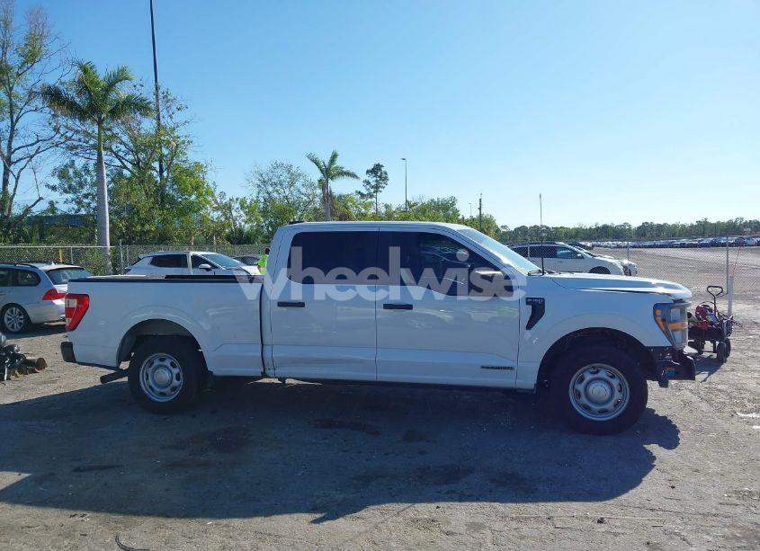 Photo 13 of 2023 Ford F-150 XL (VIN 1FTFW1CDXPFC03174)