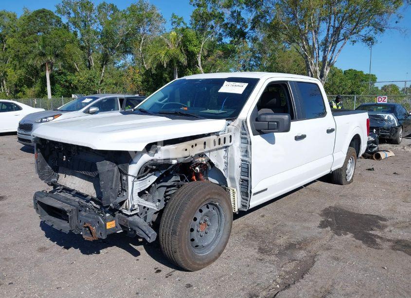 Photo 2 of 2023 Ford F-150 XL (VIN 1FTFW1CDXPFC03174)