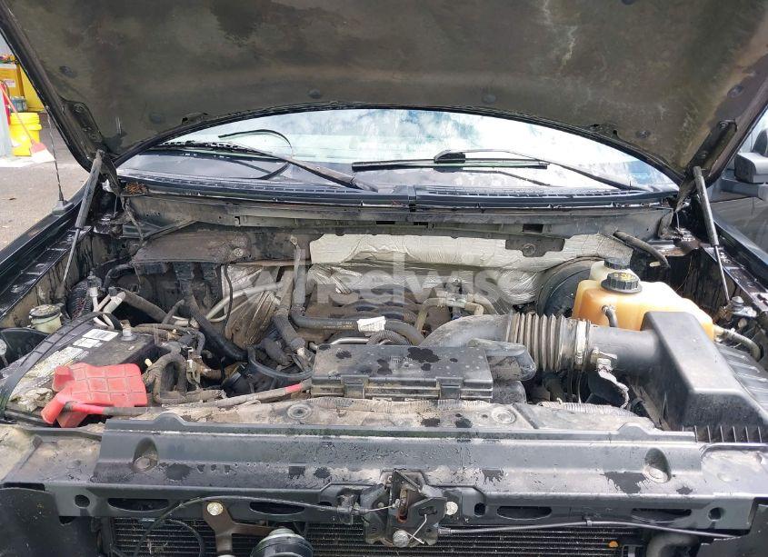 Photo 10 of 2011 Ford F-150 FX2 (VIN 1FTFW1CF0BKD12406)