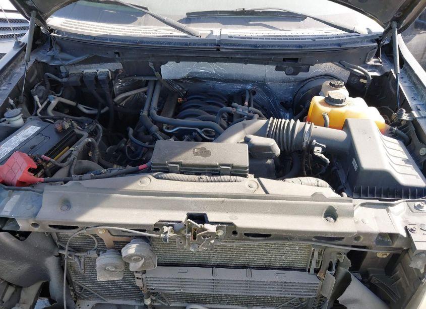 Photo 10 of 2013 Ford F-150 XLT (VIN 1FTFW1CF0DKF29862)