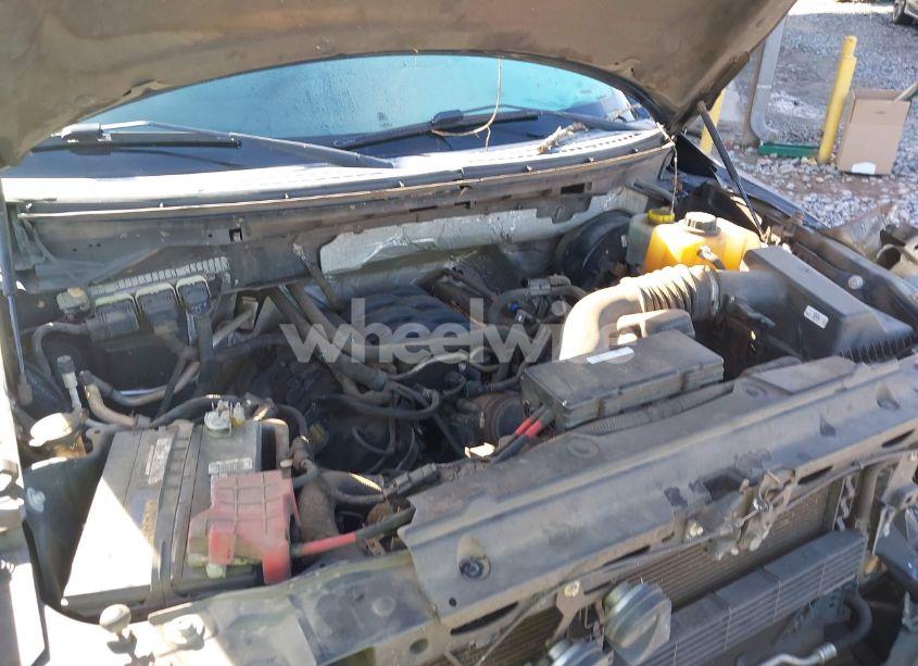 Photo 10 of 2014 Ford F-150 XLT (VIN 1FTFW1CF0EFA35477)