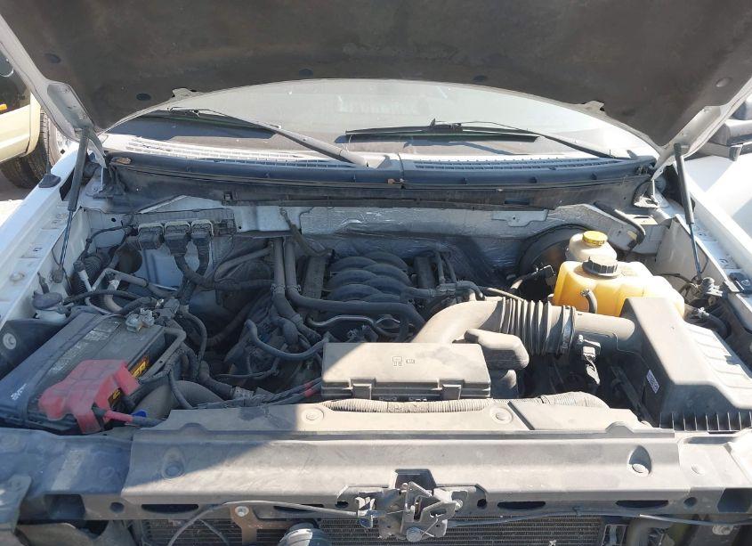 Photo 10 of 2014 Ford F-150 STX (VIN 1FTFW1CF0EKE06211)