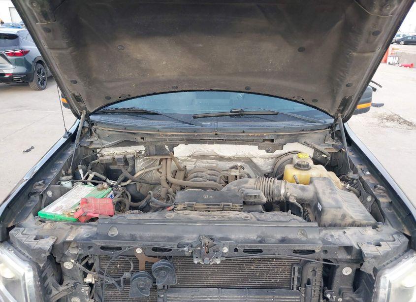 Photo 10 of 2014 Ford F-150 XLT (VIN 1FTFW1CF0EKF72356)