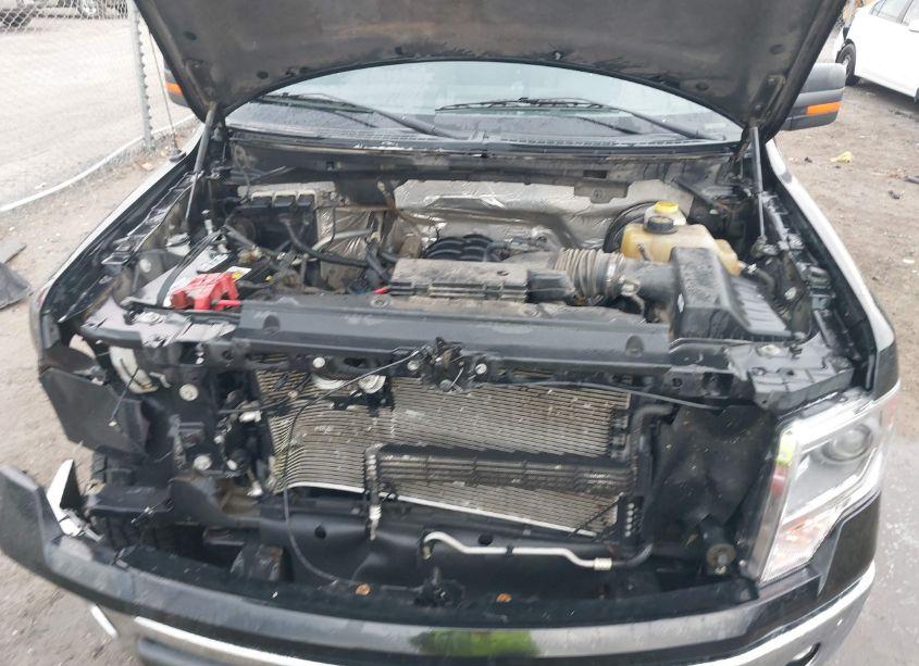 Photo 10 of 2014 Ford F-150 XLT (VIN 1FTFW1CF0EKG29526)