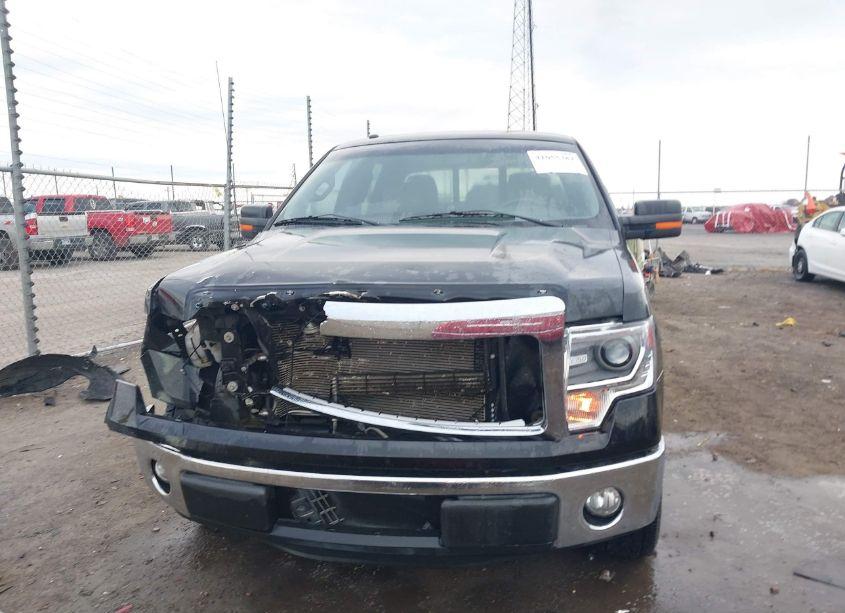 Photo 12 of 2014 Ford F-150 XLT (VIN 1FTFW1CF0EKG29526)