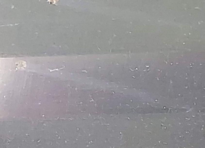 Photo 15 of 2011 Ford F-150 XLT (VIN 1FTFW1CF1BFD36481)