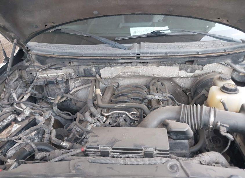 Photo 10 of 2013 Ford F-150 XLT (VIN 1FTFW1CF1DFB22206)