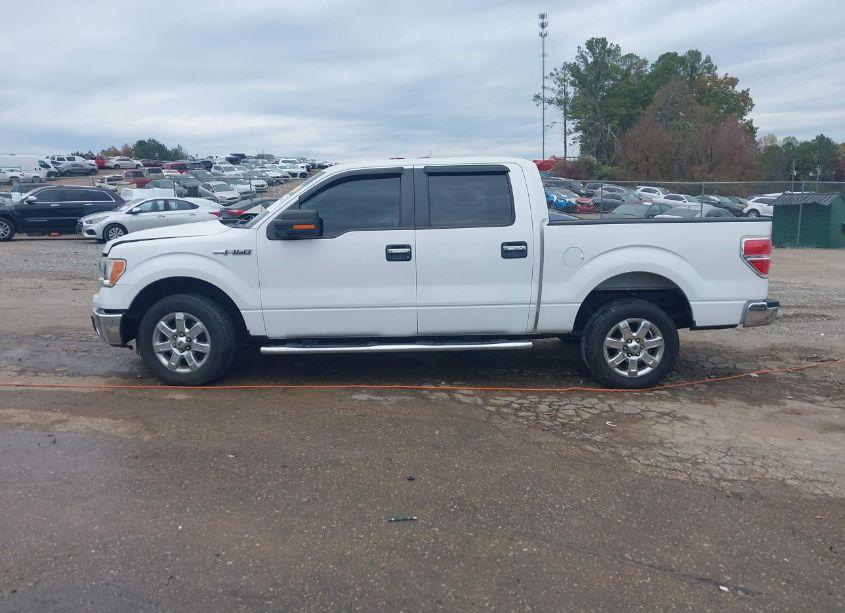 Photo 15 of 2013 Ford F-150 XLT (VIN 1FTFW1CF1DKG18694)